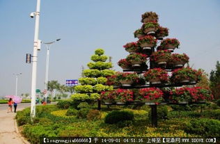 园林绿化工程中的核心要素 从设计图纸到实景呈现的完整解析