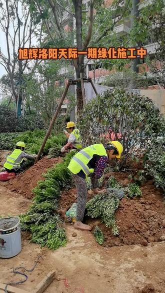 聚焦小区绿化施工现场 园林绿化工程的进度管理与实践