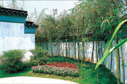 蔚森园林 打造嘉定绿植租赁与园林绿化工程施工的一站式绿色解决方案