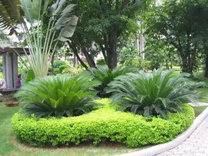 园林绿化工程施工全程详解与核心标准解读