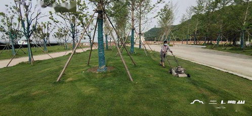 鄂州首个水上植物园即将开园，配套大桥与园林绿化工程全面提升生态景观