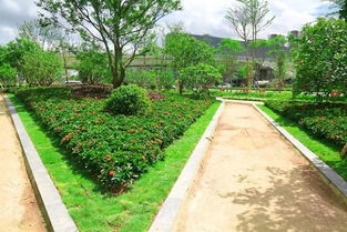 土壤改良技术在园林绿化工程施工中的实际运用